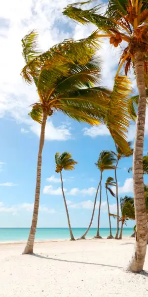  République Dominicaine