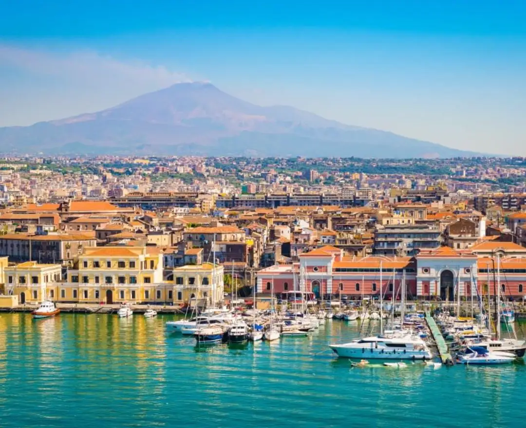 Diseño sin título - 1