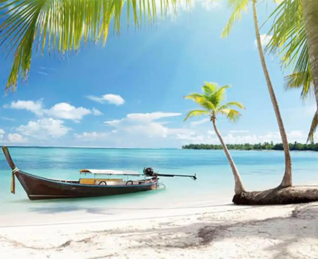 Diseño sin título - 1