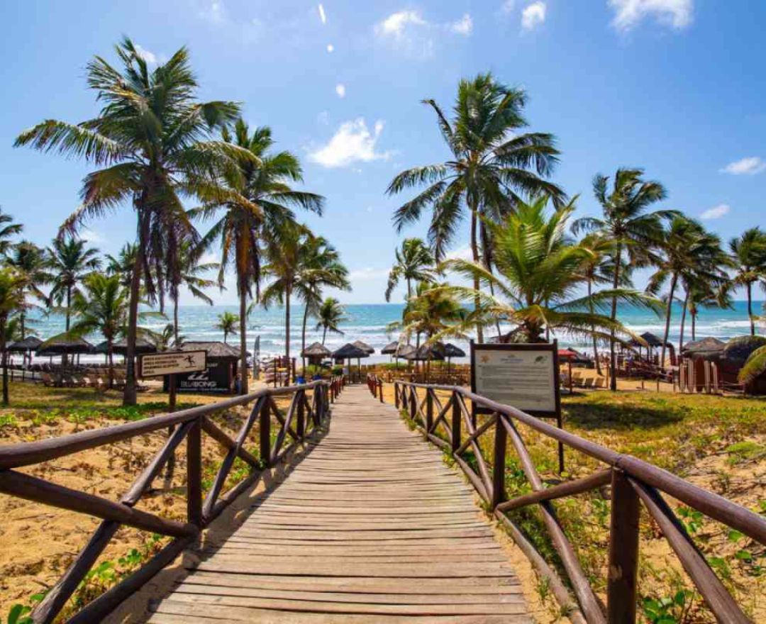 Diseño sin título - 1